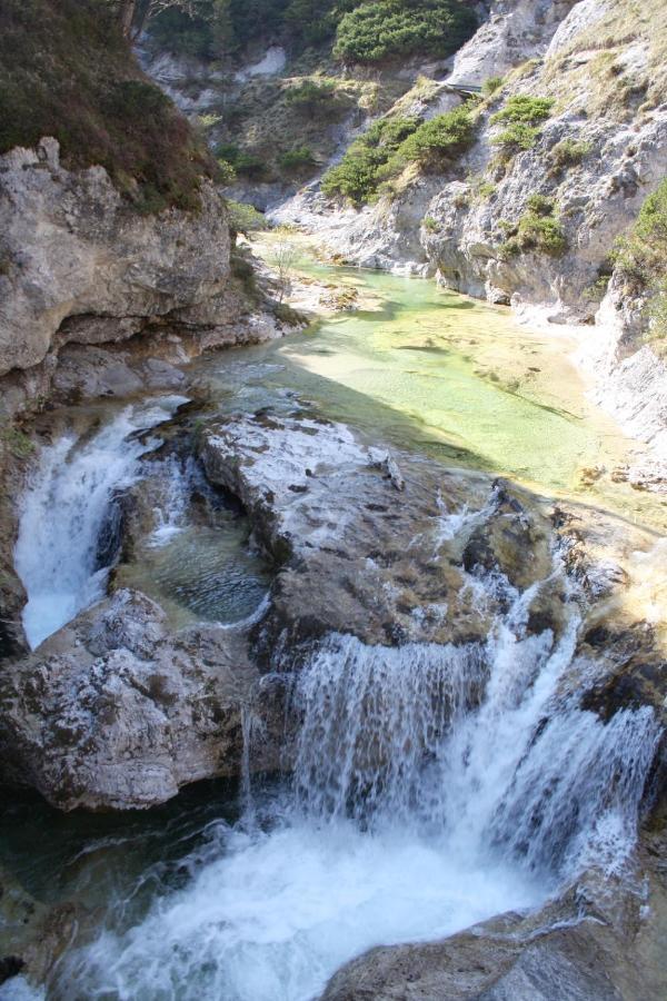 Gasthof Erlauftalerhof Gaming Dış mekan fotoğraf